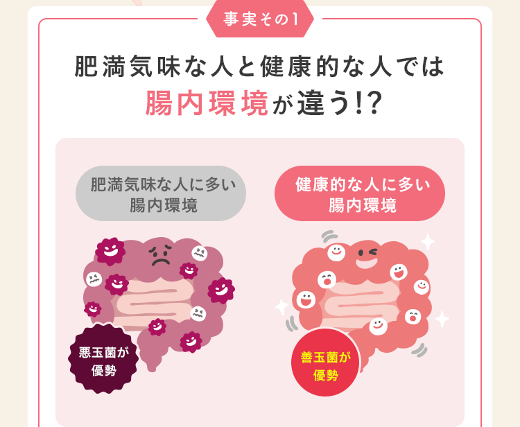 事実その1 肥満気味な人と健康的な人では腸内環境が違う!?