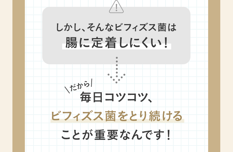 しかし、そんなビフィズス菌は腸に定着しにくい! だから毎日コツコツ、ビフィズス菌をとり続けることが重要なんです!