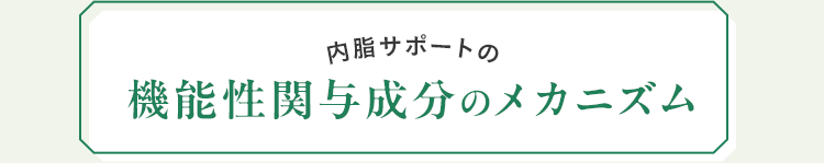 内脂サポートの機能性関与成分のメカニズム